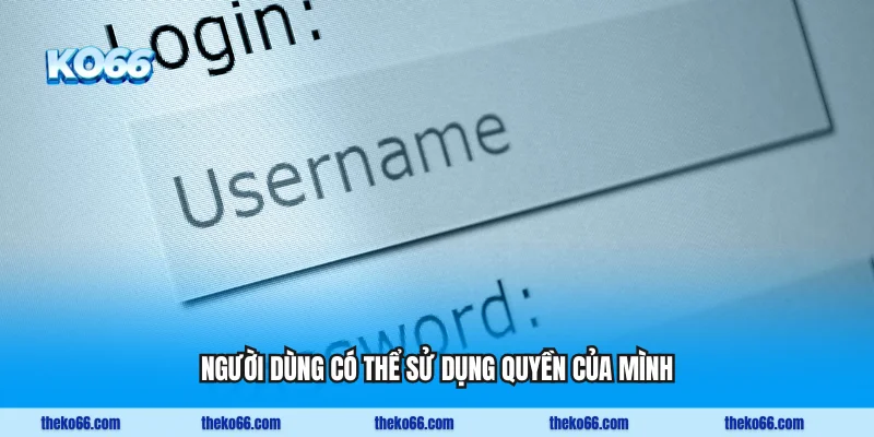 Nhà cái đảm bảo 100% người dùng có thể sử dụng quyền của mình
